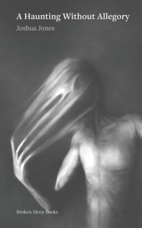 Enlarge image Cover: A Haunting Without Allegory - Broken Sleep Books
