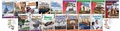Cover: Understanding American Voting, Elections, Laws and Leaders 16-Book Set plus 2-Card Decks for Grades 4-5 - Teacher Created Materials, Inc