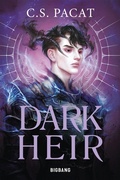 Cover: Dark Rise, T2 : Dark Heir - Bigbang