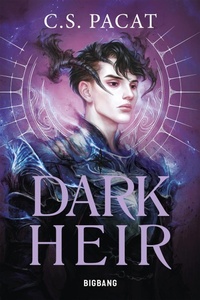 Enlarge image Cover: Dark Rise, T2 : Dark Heir - Bigbang
