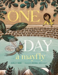 Abbildung von: One Day a Mayfly - Candlewick Press,U.S.
