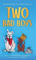 Cover: Two Bad Boys - Twenty Hills Publishing