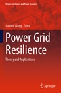 Cover: Power Grid Resilience - Springer