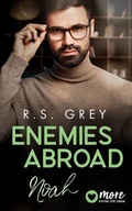 Cover: Enemies abroad - MORE by Aufbau Digital