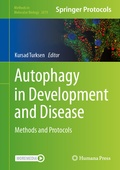 Bild: Autophagy in Development and Disease - Humana