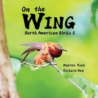 Abbildung von: On the Wing - North American Birds 2 - Hei Greenhouse Studio