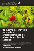 Cover: Un nuevo polerovirus asociado al amarilleamiento del pimiento en Arabia Saudita - Ediciones Nuestro Conocimiento