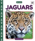 Cover: Jaguars - Cody Koala