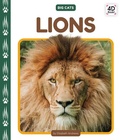 Cover: Lions - Cody Koala