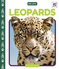 Cover: Leopards - Cody Koala