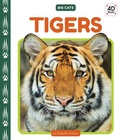 Cover: Tigers - Cody Koala