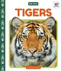Enlarge image Cover: Tigers - Cody Koala