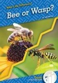 Cover: Bee or Wasp? - Dash!