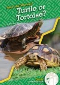 Enlarge image Cover: Turtle or Tortoise? - Dash!