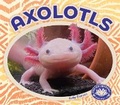 Cover: Axolotls - BIG BUDDY BOOKS