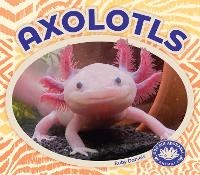Enlarge image Cover: Axolotls - BIG BUDDY BOOKS