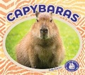 Cover: Capybaras - BIG BUDDY BOOKS