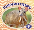 Cover: Chevrotains - BIG BUDDY BOOKS