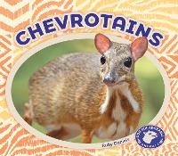 Abbildung von: Chevrotains - BIG BUDDY BOOKS