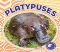 Cover: Platypuses - BIG BUDDY BOOKS