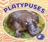 Abbildung von: Platypuses - BIG BUDDY BOOKS