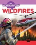Cover: Wildfires - Early Encyclopedias