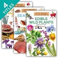 Cover: North American Field Guides Set 2 (Set) - Field Guides