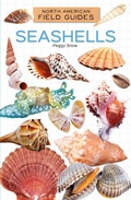Cover: Seashells - Field Guides