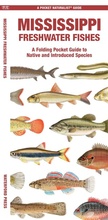 Cover: Mississippi Freshwater Fishes - Waterford Press Ltd
