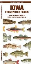 Cover: Iowa Freshwater Fishes - Waterford Press Ltd