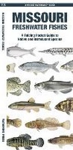 Cover: Missouri Freshwater Fishes - Waterford Press Ltd