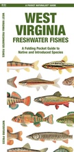 Cover: West Virginia Freshwater Fishes - Waterford Press Ltd