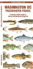 Cover: Washington DC Freshwater Fishes - Waterford Press Ltd
