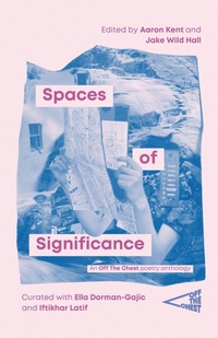 Enlarge image Cover: Spaces of Significance - Broken Sleep Books