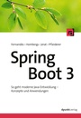 Cover: Spring Boot 3 - dpunkt