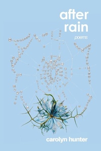 Enlarge image Cover: After Rain - Beehive Media