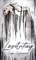 Cover: Levitating - Tanner