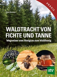Abbildung von: Waldtracht von Fichte und Tanne - Stocker, L