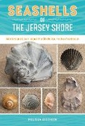 Cover: Seashells of the Jersey Shore - Schiffer Publishing Ltd