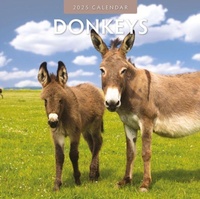 Abbildung von: Donkeys 2025 Square Wall Calendar - Red Robin Publishing Ltd.