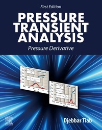 Abbildung von: Pressure Transient  Analysis - Elsevier