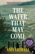 Cover: The Water That May Come - Fly on the Wall Press