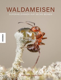 Abbildung von: Waldameisen - Knesebeck