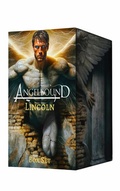 Cover: Lincoln Box Set - Monster House Books