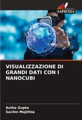 Cover: Visualizzazione Di Grandi Dati Con I Nanocubi - Edizioni Sapienza