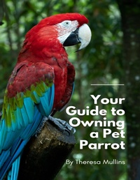 Abbildung von: Your Guide to Owning a Pet Parrot - Lulu.com