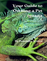 Abbildung von: Your Guide to Owning a Pet Iguana - Lulu.com
