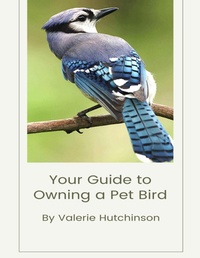 Abbildung von: Your Guide to Owning a Pet Bird - Lulu.com