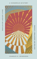 Cover: A Wondrous Mystery - New Growth Press