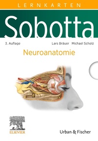 Abbildung von: Sobotta Lernkarten Neuroanatomie - Elsevier